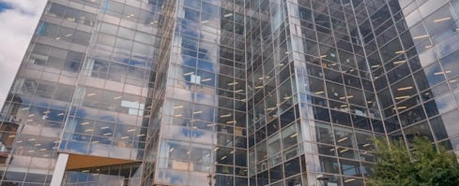 Modern glass office building reflecting sky with landscaped garden and walkway in front.