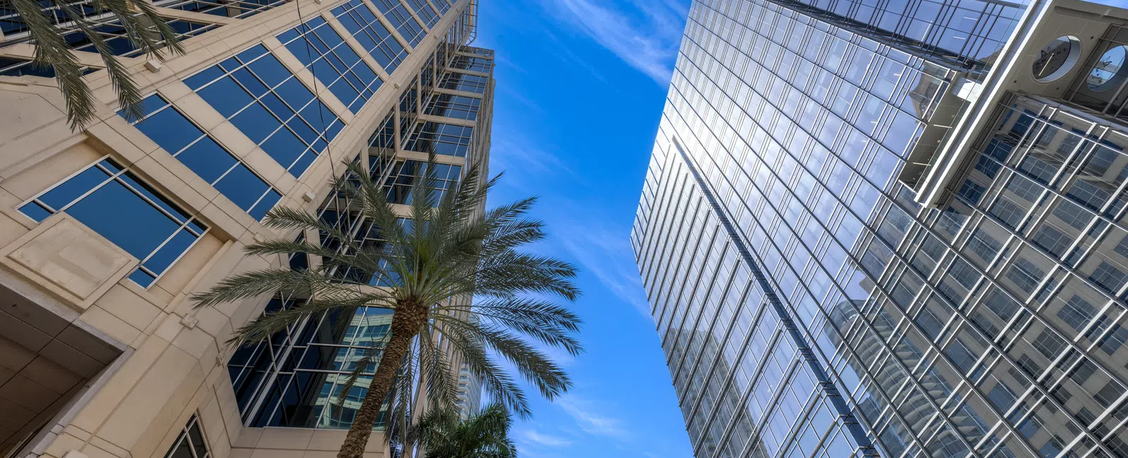 Modern glass skyscrapers with palm trees under a clear blue sky in an urban setting.