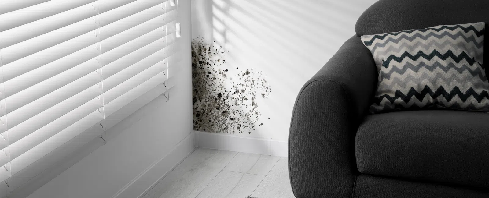 Black mold growing on white wall corner near dark gray sofa with patterned pillow in a bright living room.