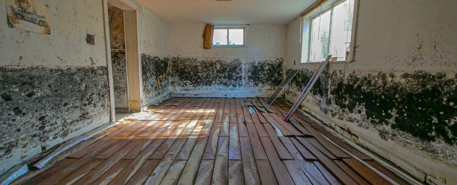 Be Careful with House Flippers and Cut Corners