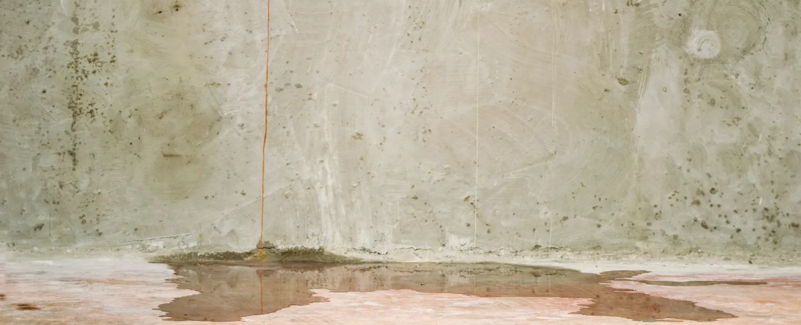 Complications Caused by Home Renovations