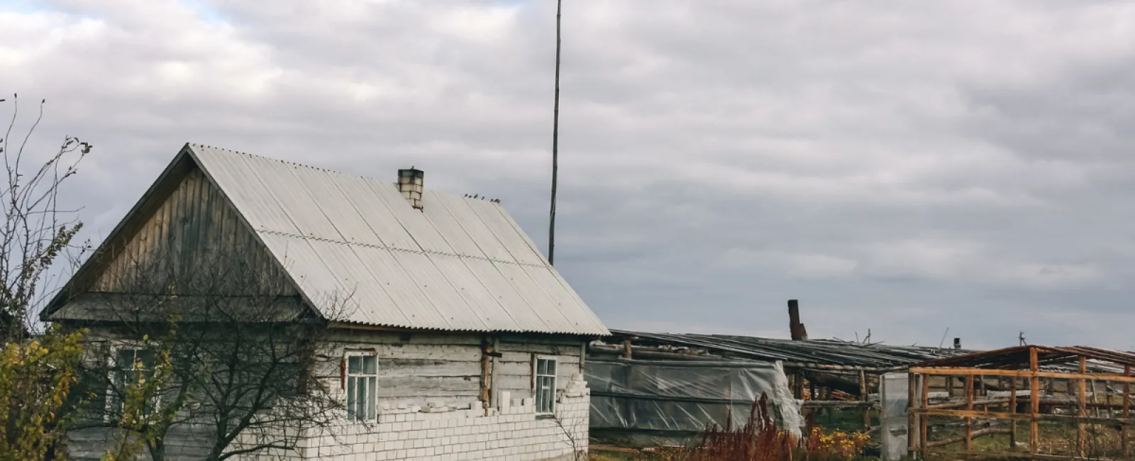 Time to Take Care of your House! Don’t Let Mold Take Over