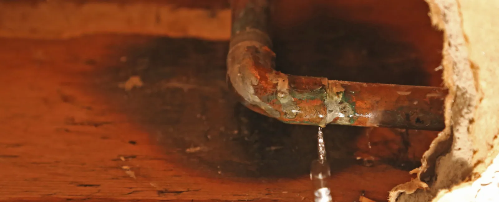 Getting the Right Advice and a Plan in Place