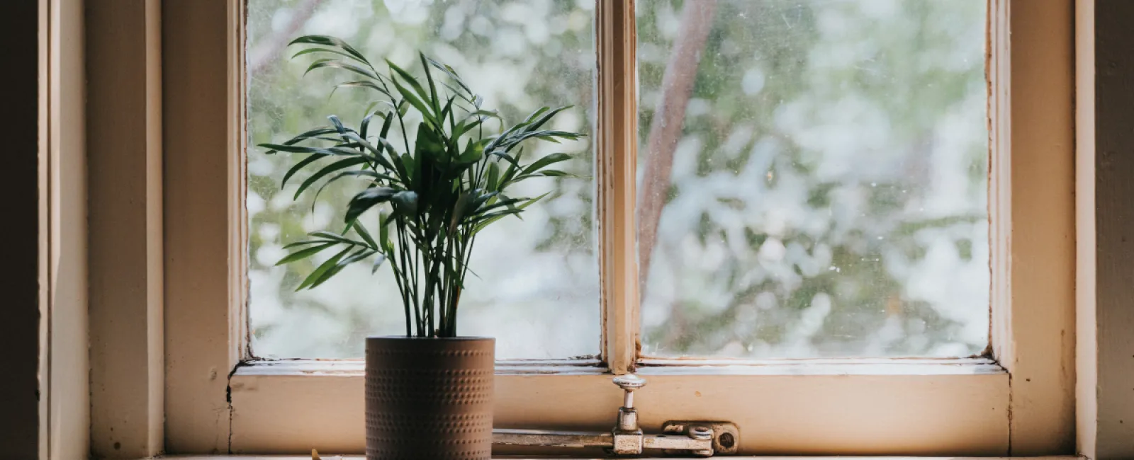 Indoor Humidity & Your Health