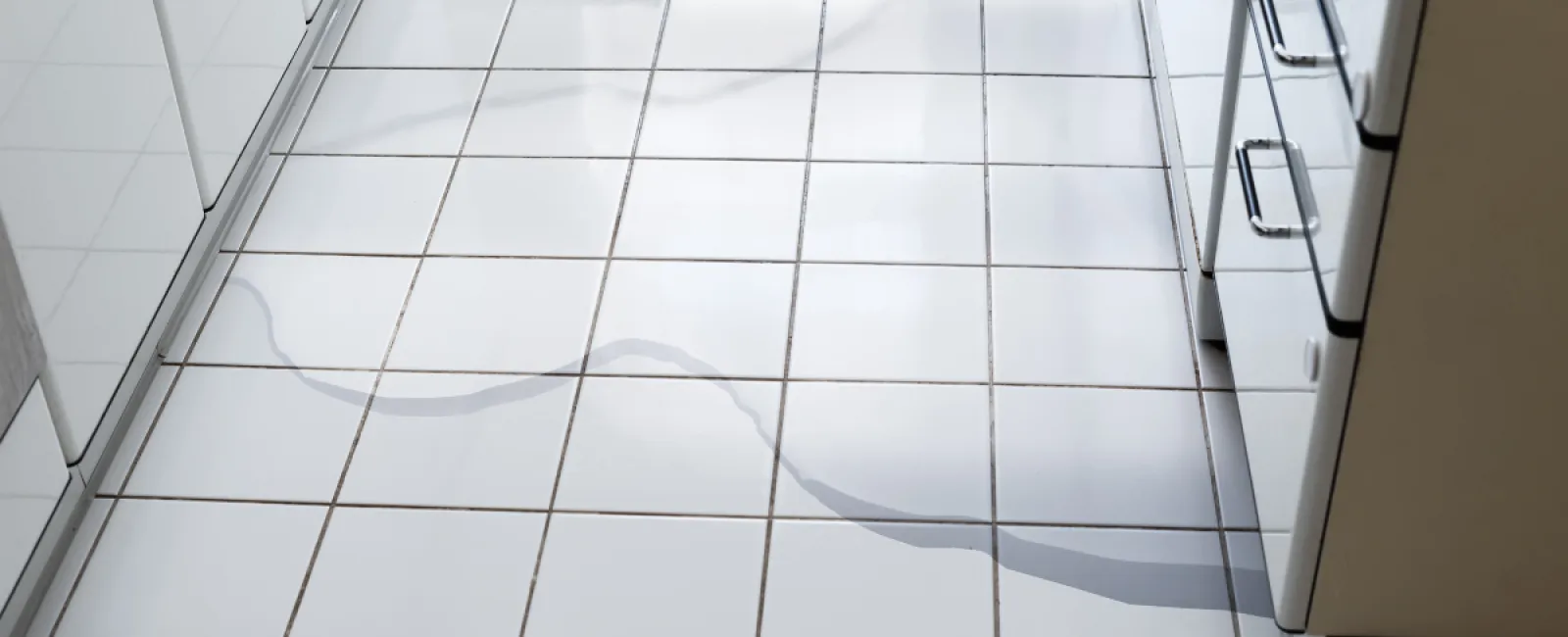 Don’t Let Leaky Appliances Sink Your Home