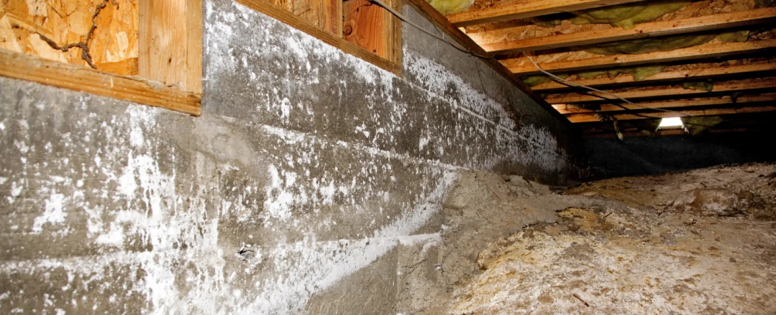 DIY-Savvy? Make sure that you’re safe, too!