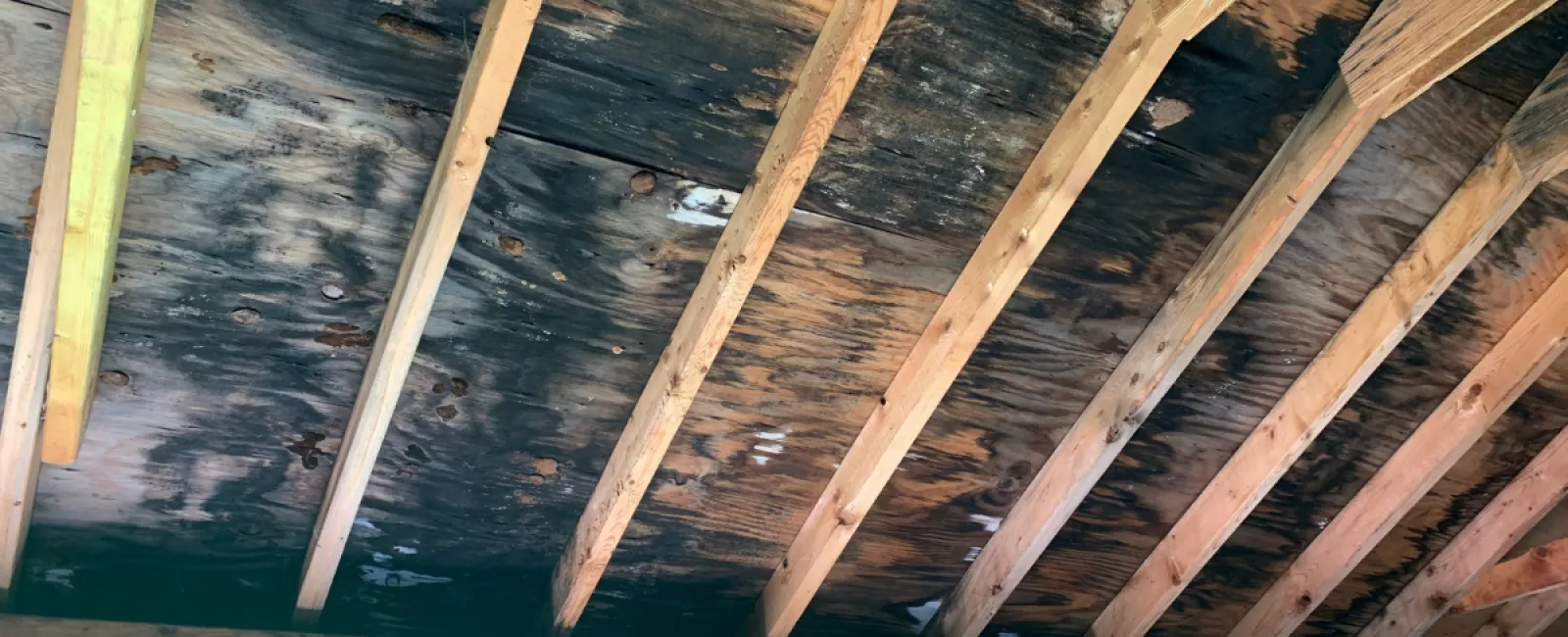 Keep an Eye Out for Humidity Levels!