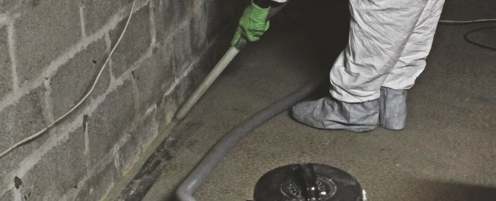 How Do Professionals Remove Mold?