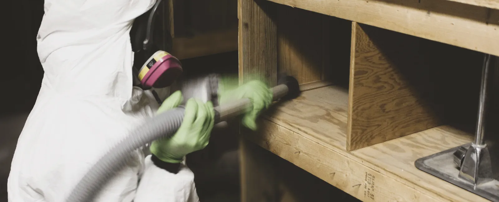 Is It Really Mold or Something Else?