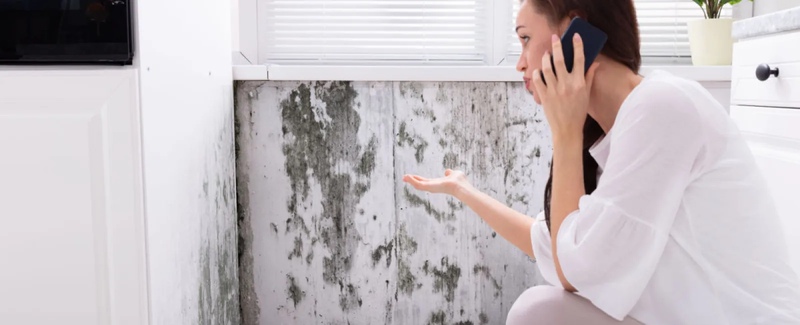 Mold Remediation: When Do You Need a Professional?