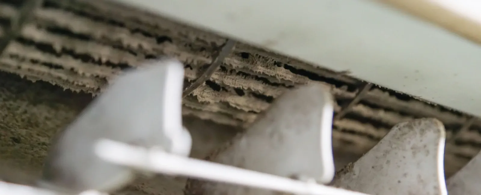 4 Likely Places for Mold Growth in Your HVAC System