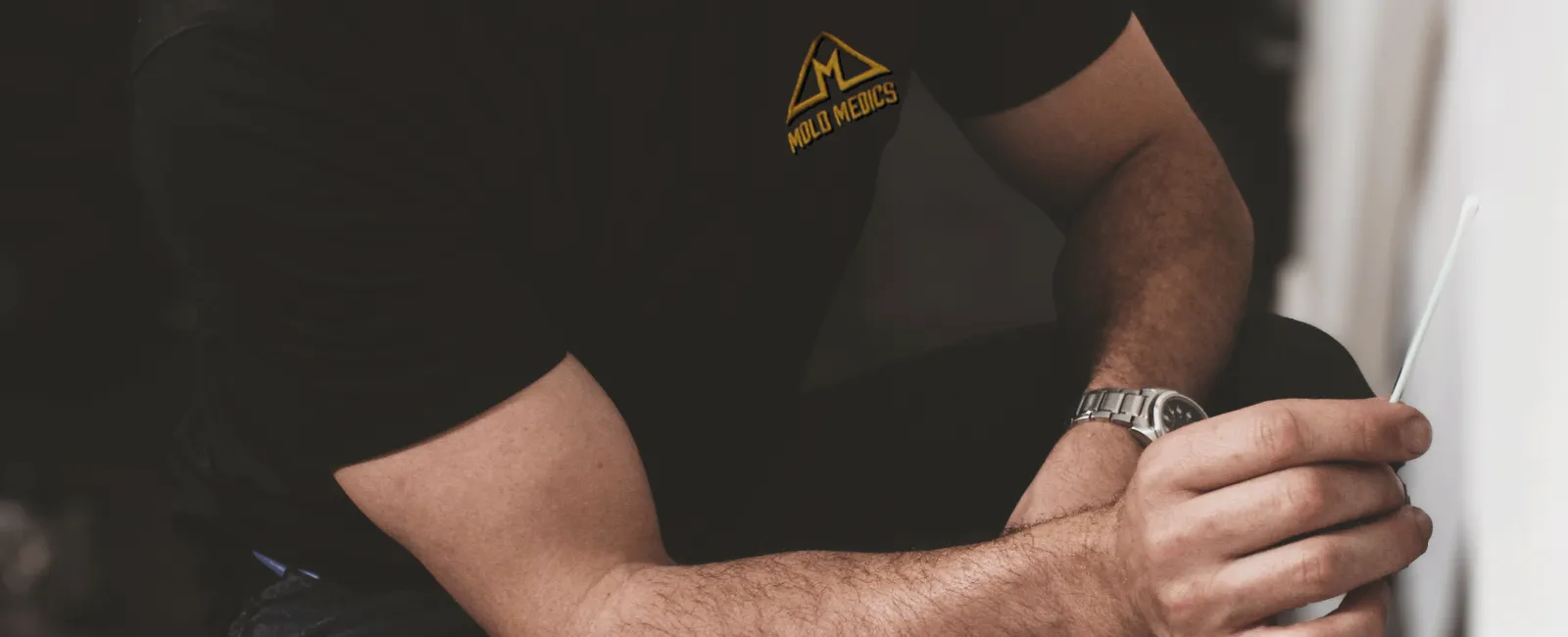 What Causes White Mold on Walls?