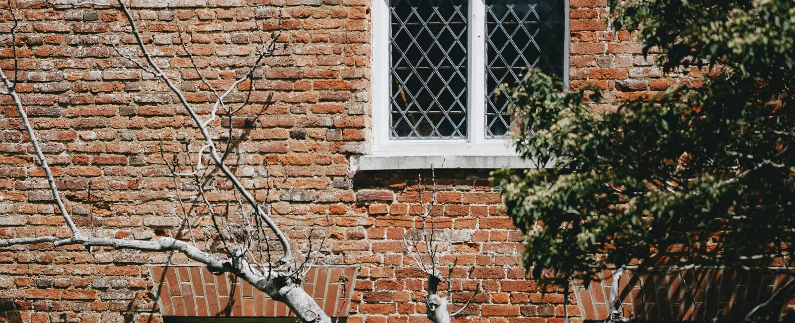 Red brick wall with three white-framed, lattice windows and a leafless tree in front surrounded by greenery.