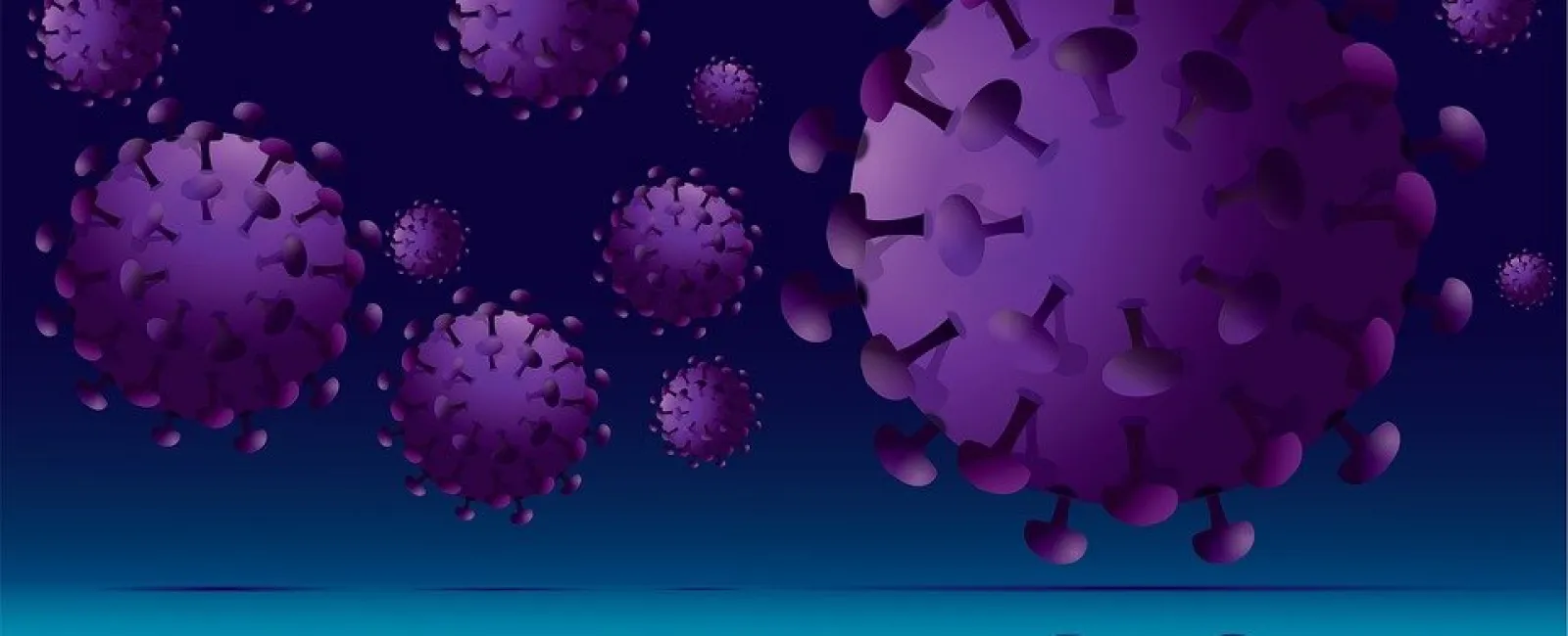 Cleaning and Disinfection of Surfaces and Items Within The Home