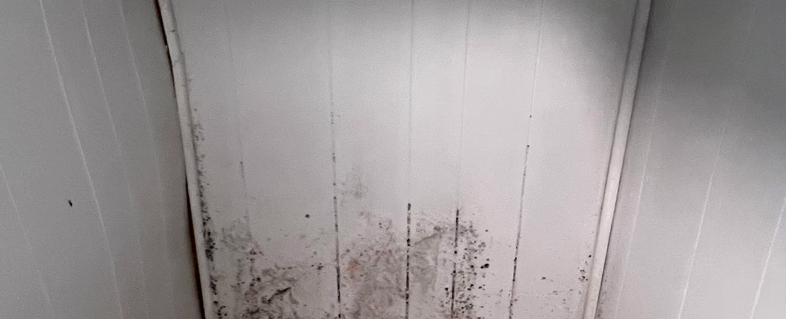 Corner of a room with white panel walls stained with black mold and a wooden floor, showing water damage.