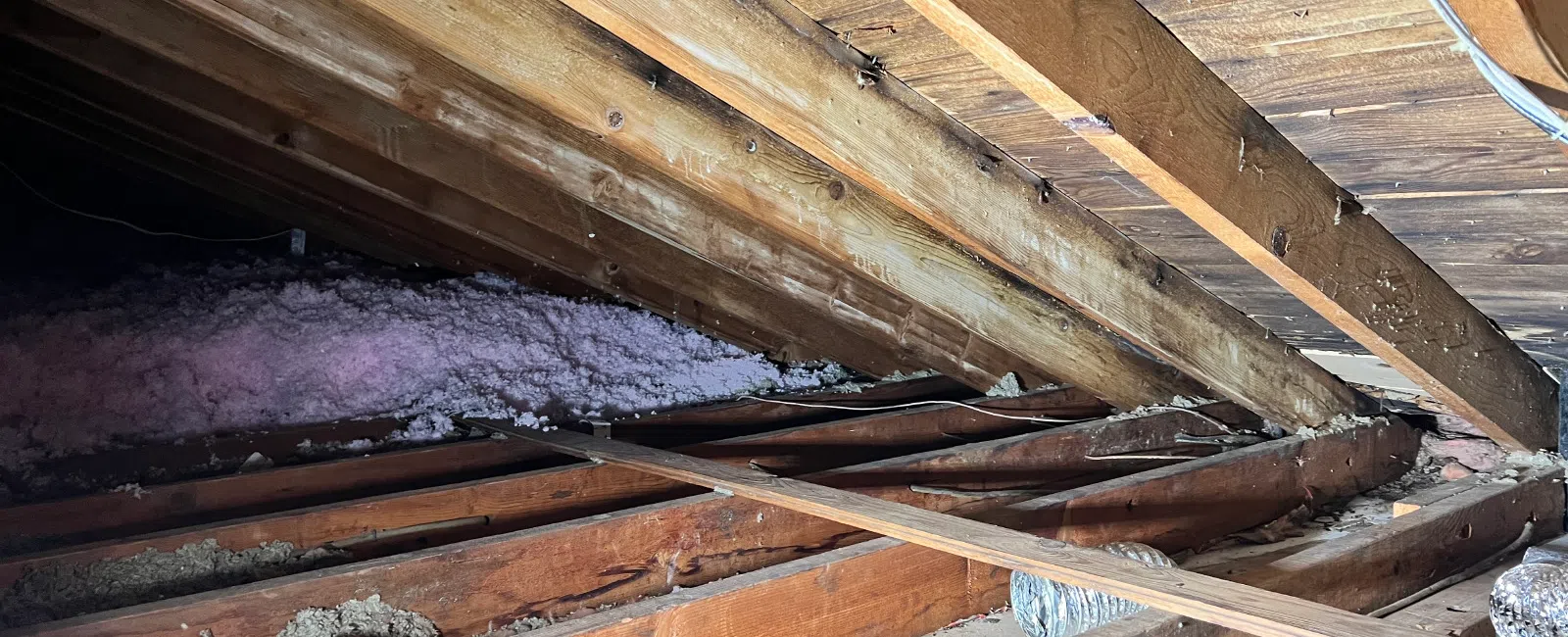 Interior attic space with exposed wooden beams, insulation, and utility wiring under roof structure.