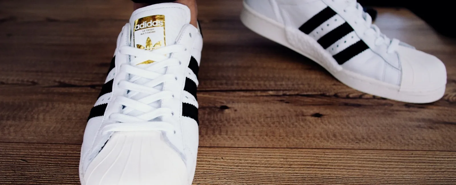 Preventing/Treating Mold on Shoes