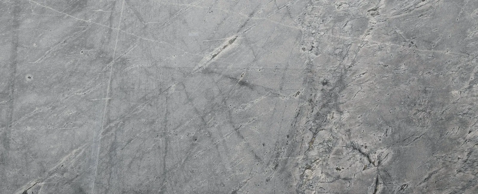 Eliminating Mold on Concrete