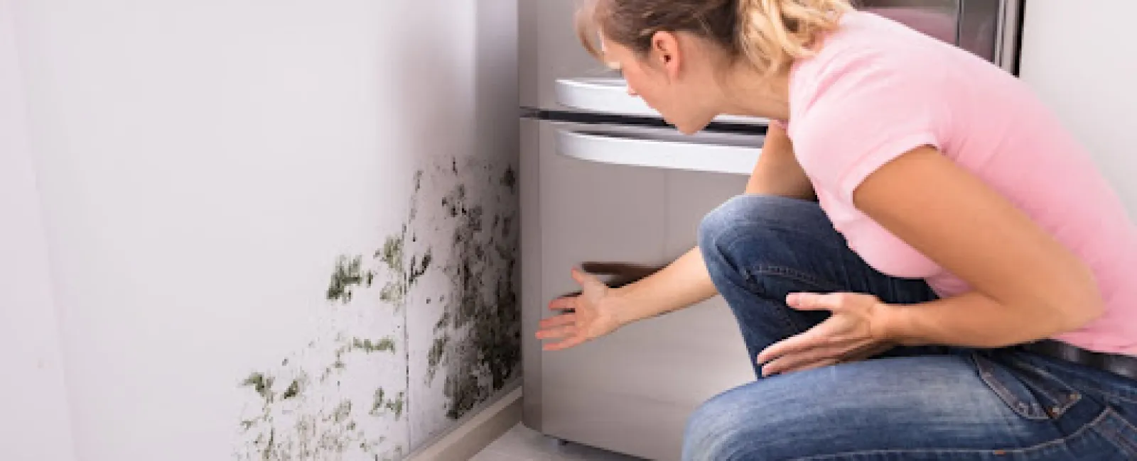 Best Ways to Get Rid of Mold