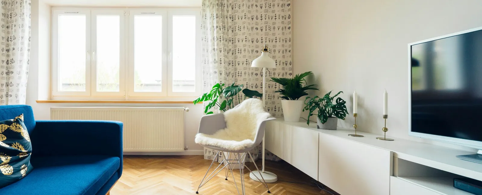 Modern living room featuring a blue couch, plants, and a TV on a white cabinet.