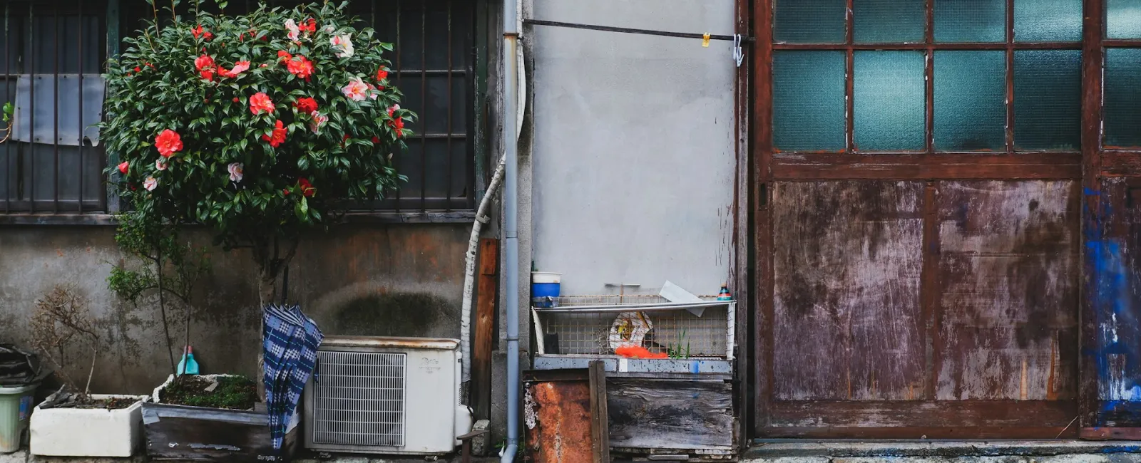 A weathered building exterior with a blooming flower tree and rustic wooden elements.