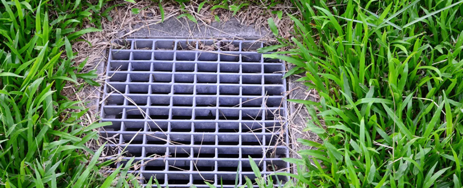 How to Build a Drainage Catch Basin