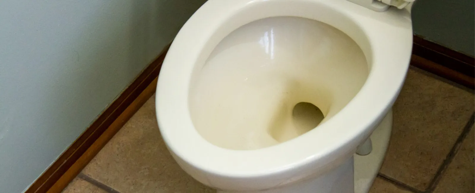 Why Does My Toilet Smell So Bad?