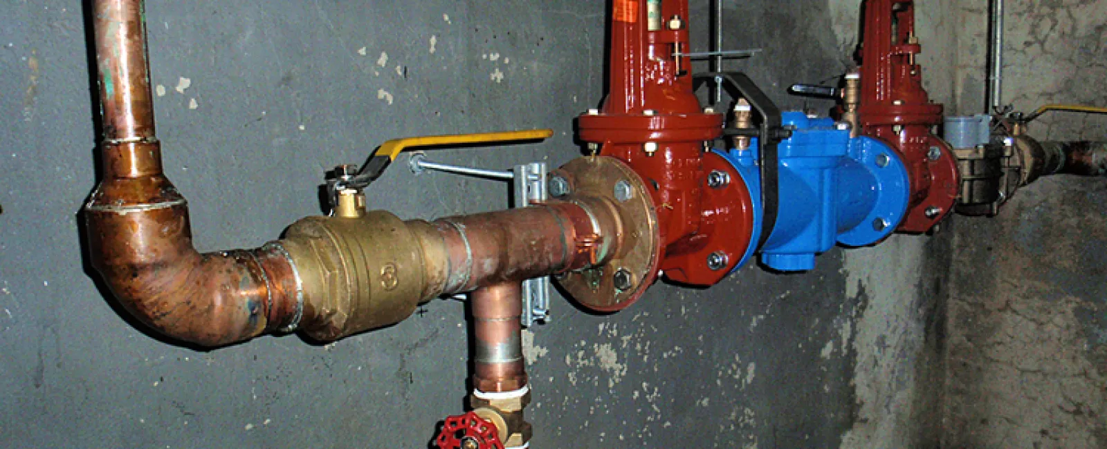 Backflow Prevention and Your Health