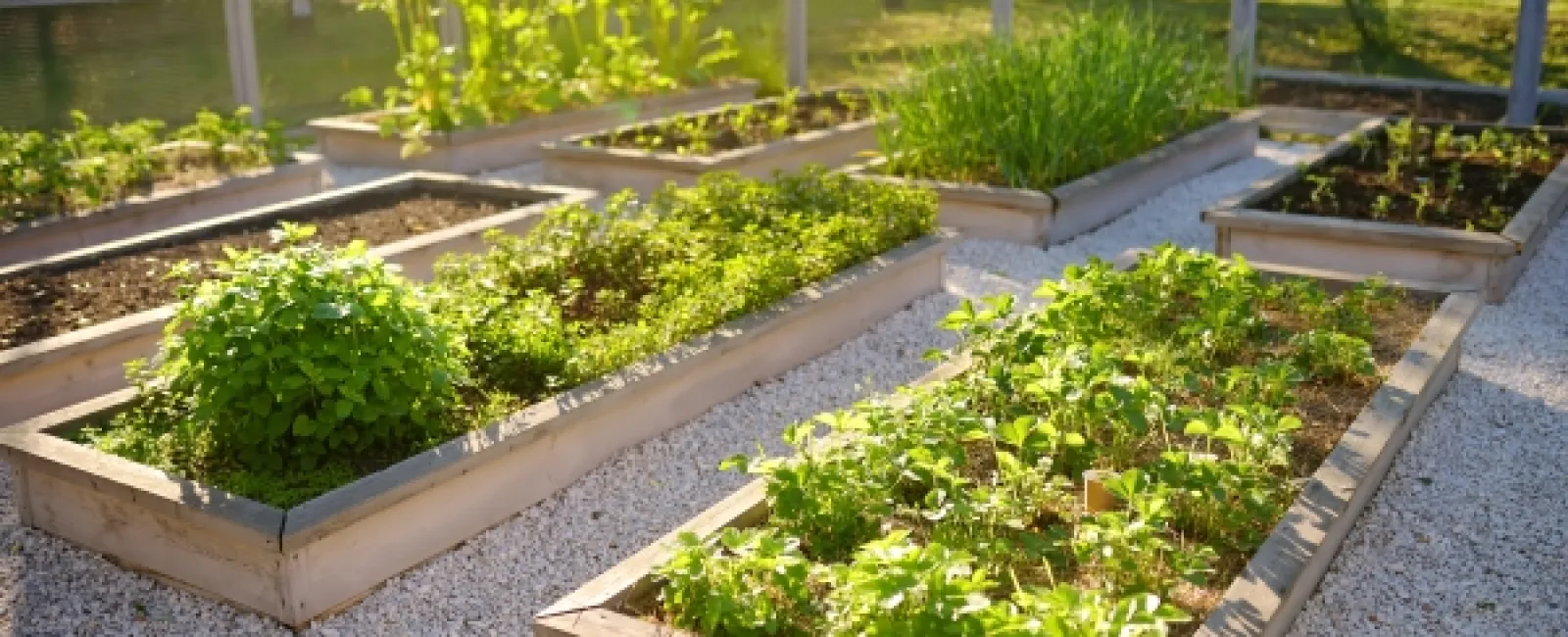 Tips for Sustainable Gardening and Landscaping