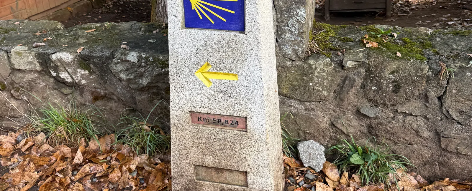 Stone Camino de Santiago marker with yellow shell symbol and arrow, surrounded by autumn leaves and rustic background.