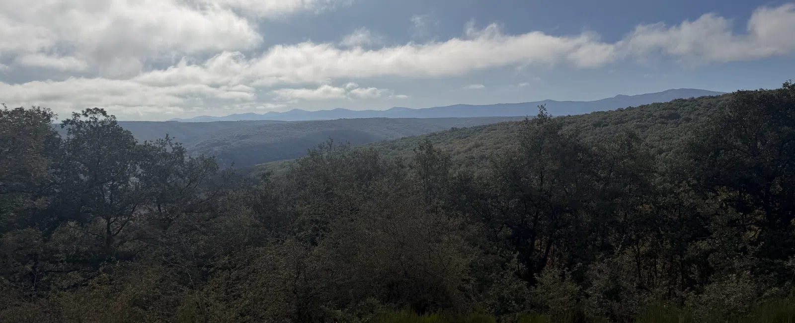 View of dense forest with distant mountains under a cloudy sky in natural landscape.