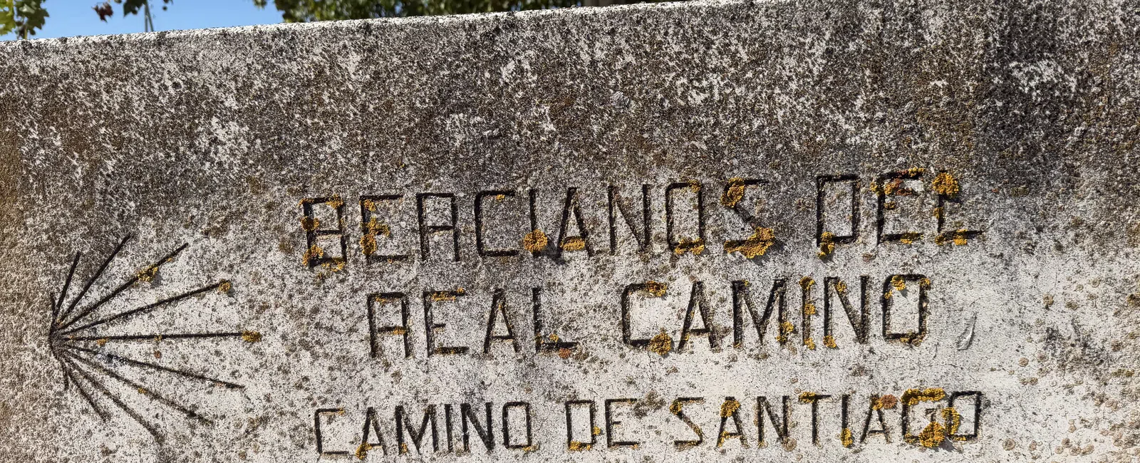 Stone plaque with weathered text marking the Real Camino de Santiago pilgrims route under trees.