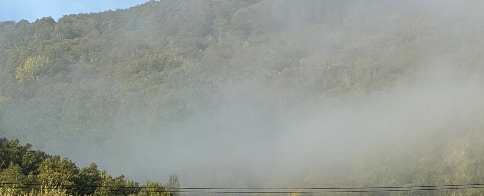 Foggy hillside covered with dense green trees under a blue sky, partially obscuring a small bridge.