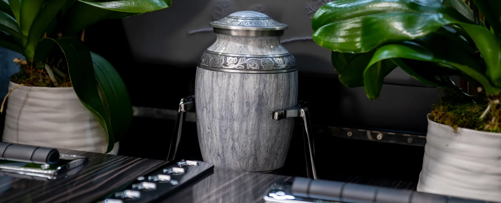 Decorative silver urn with intricate engravings placed between two green plants on a polished wooden table