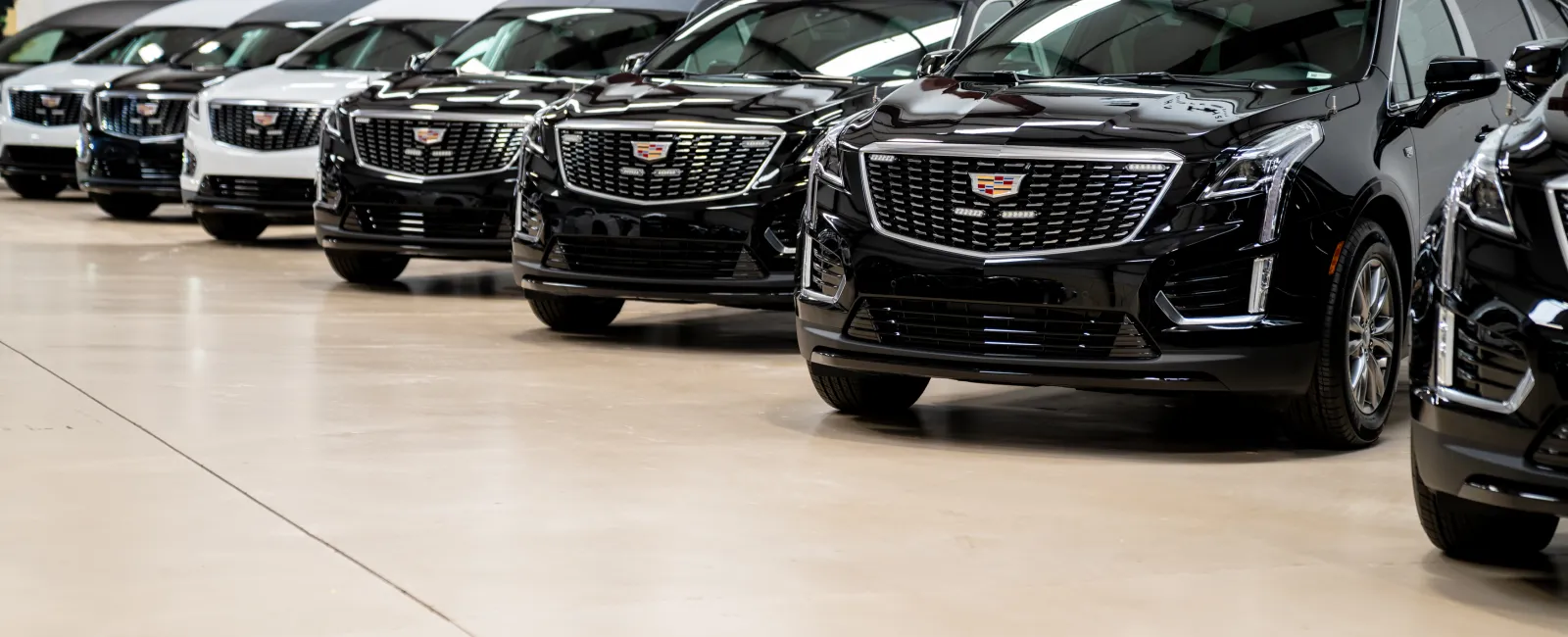 Row of black and white Cadillac SUVs lined up indoors on polished floor with clear lighting and visible details