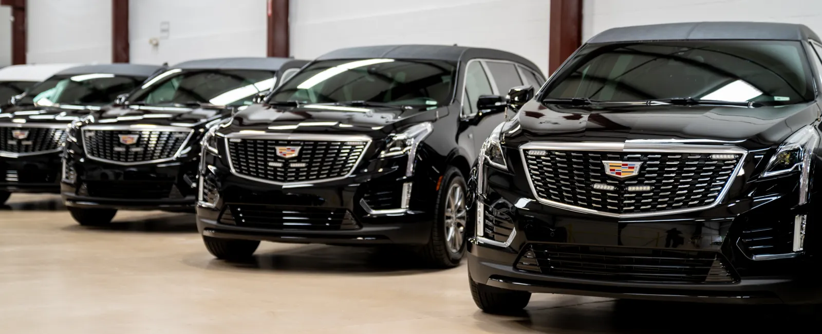 Row of shiny black Cadillac SUVs parked indoors in a well-lit showroom with white walls and polished floors
