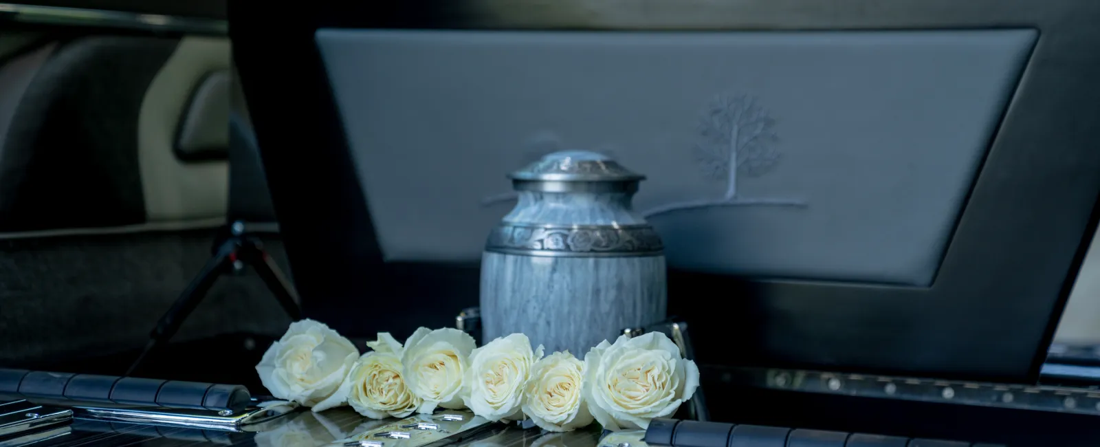 Silver urn and six white roses displayed inside a black funeral hearse with reflective surfaces and soft lighting