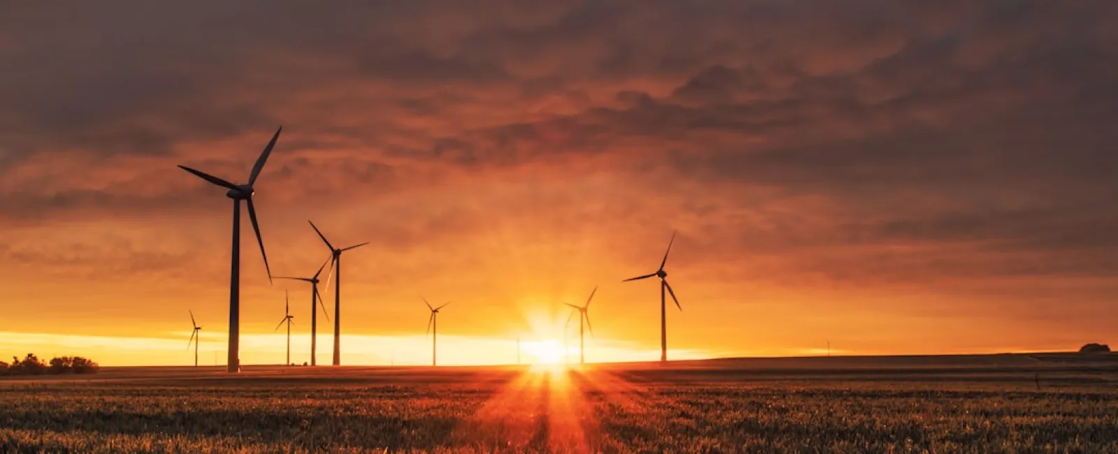 Wind turbines stand tall over a field at sunset under a dramatic cloudy sky with golden light on the horizon