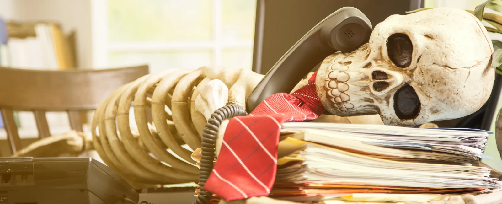 a skull and books on a table