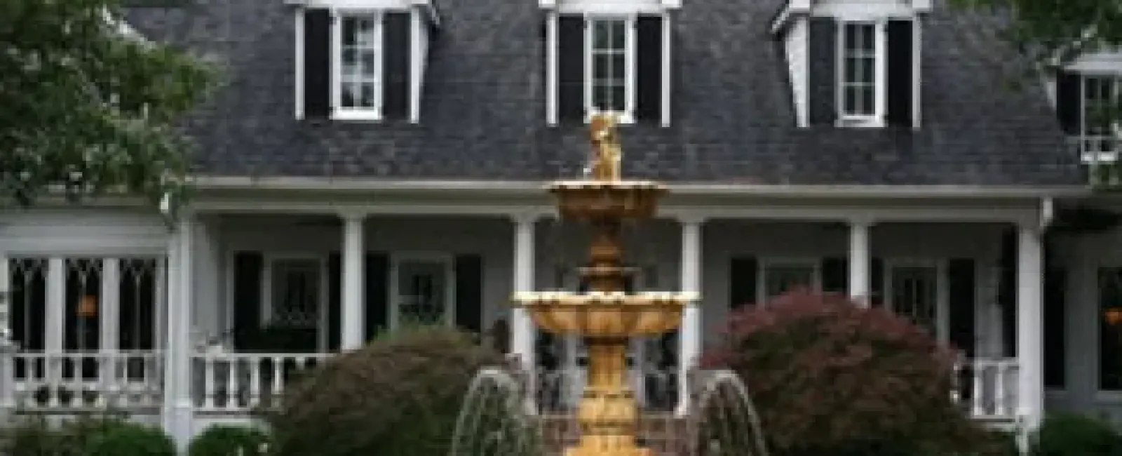 Are Wood Windows for You? We Weigh the Pros and Cons