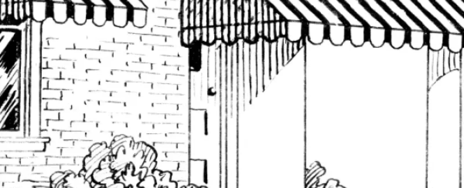 Awning Windows Help Boost Home Circulation