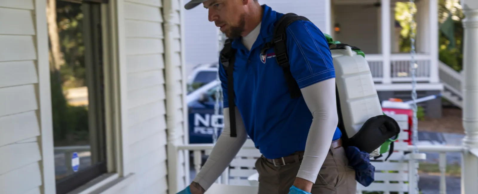 pest control services