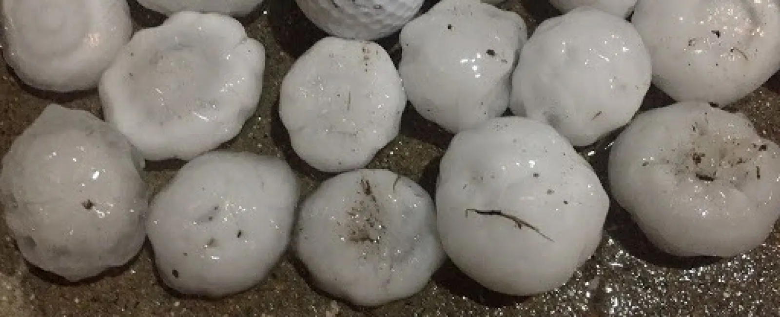 Signs of Hail Damage and How to Handle It