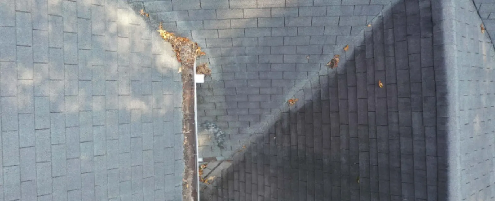 What Causes Roof Damage
