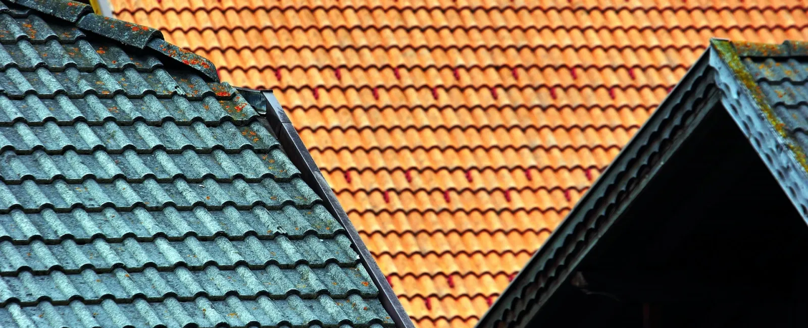 Here Is Why Professional Roof Maintenance Is Essential
