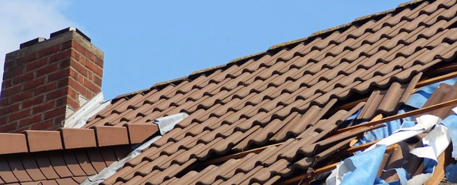Fixing a Damaged Roof: Why Hiring a Professional Is Vital
