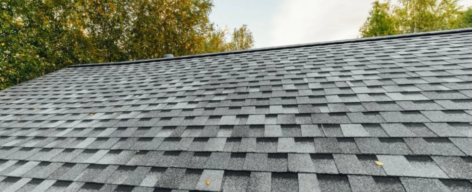 What’s the Best Roofing Material for Your Home?
