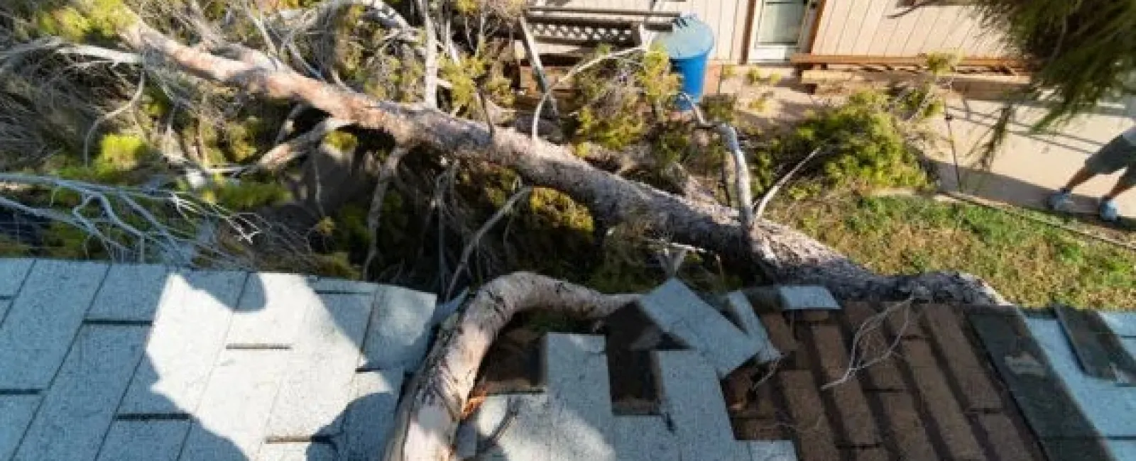 How To Identify Roof Storm Damage