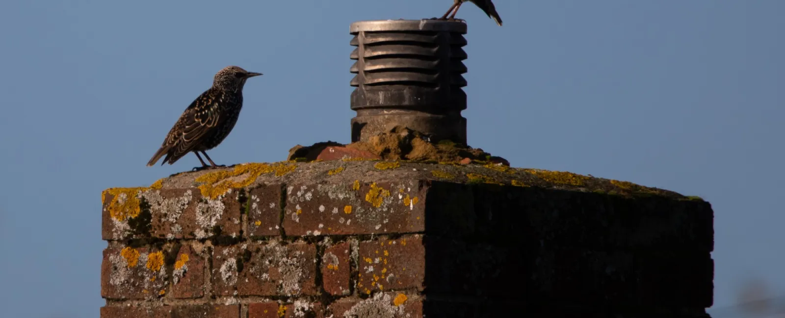 How to Repair a Chimney