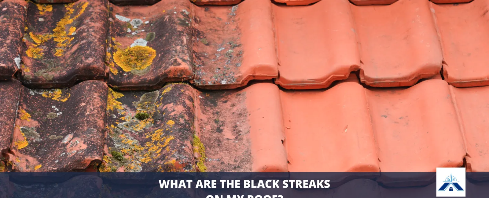 What Are The Black Streaks On My Roof?